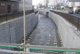 平成30年度 望月寒川広域河川改修工事(本川地区)(補正・明許)